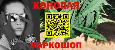 метадон Гай